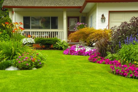 CLAVES PARA PREPARAR EL JARDÍN EN PRIMAVERA