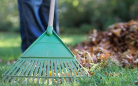 El cuidado de los jardines en las comunidades de vecinos