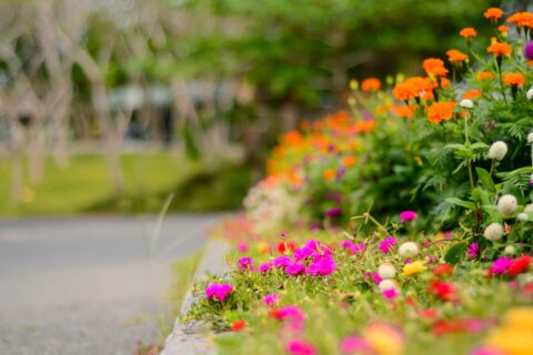 Jardinería para comunidades en Alcalá de Henares